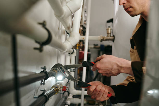 Best Clogged Drain Plumber  in Citrus Park, AZ