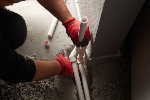 Best Toilet Repair Services  in Citrus Park, AZ