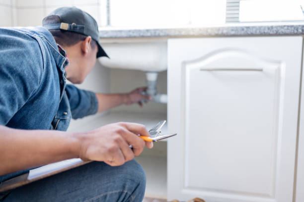 Best Sprinkler Systems  in Citrus Park, AZ