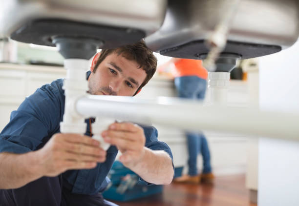Best Commercial Plumbing Services  in Citrus Park, AZ