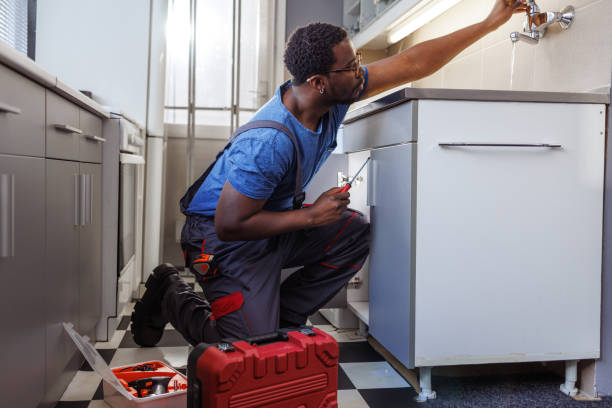 Best Plumbing Inspection Services  in Citrus Park, AZ